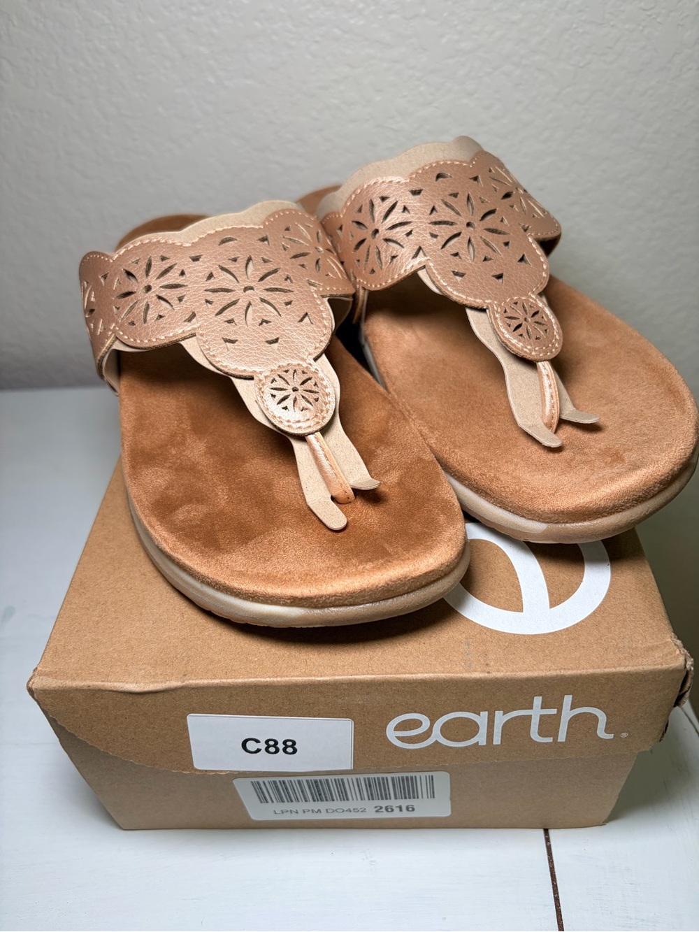 Earth Sadie 3 Nude Laser-Cut Thong Sandals - Comfortable Women's 10M New in Box